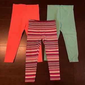 Lot of 3 Tea Collection Leggings
